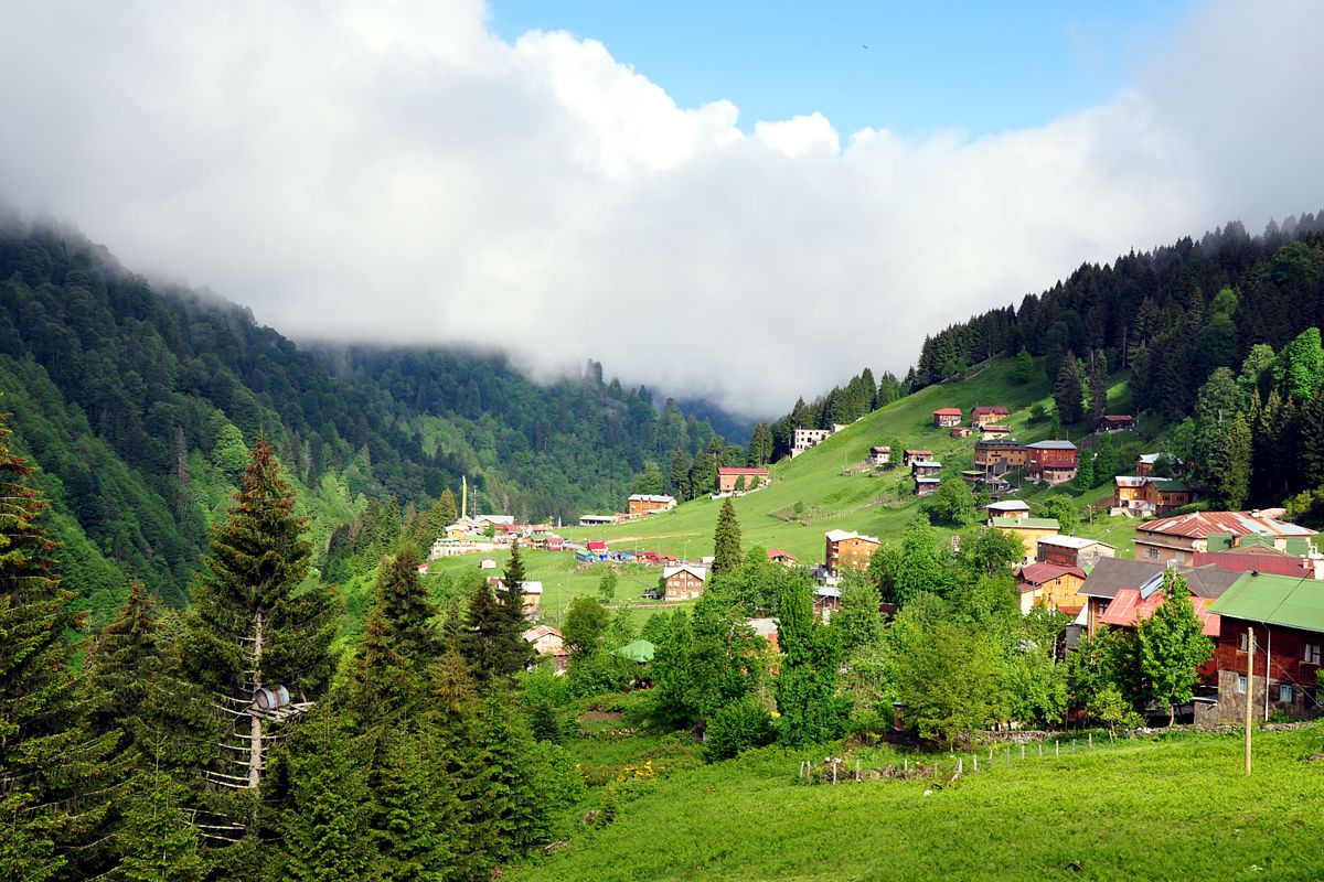 Aydın Çıkışlı Karadeniz Turu Fiyata Dahil Olan Hizmetler