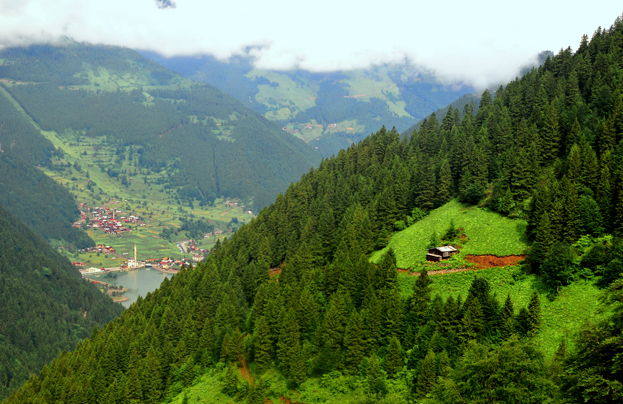 Denizli Çıkışlı Karadeniz Turu ile Serin Yaylalara Yolculuk