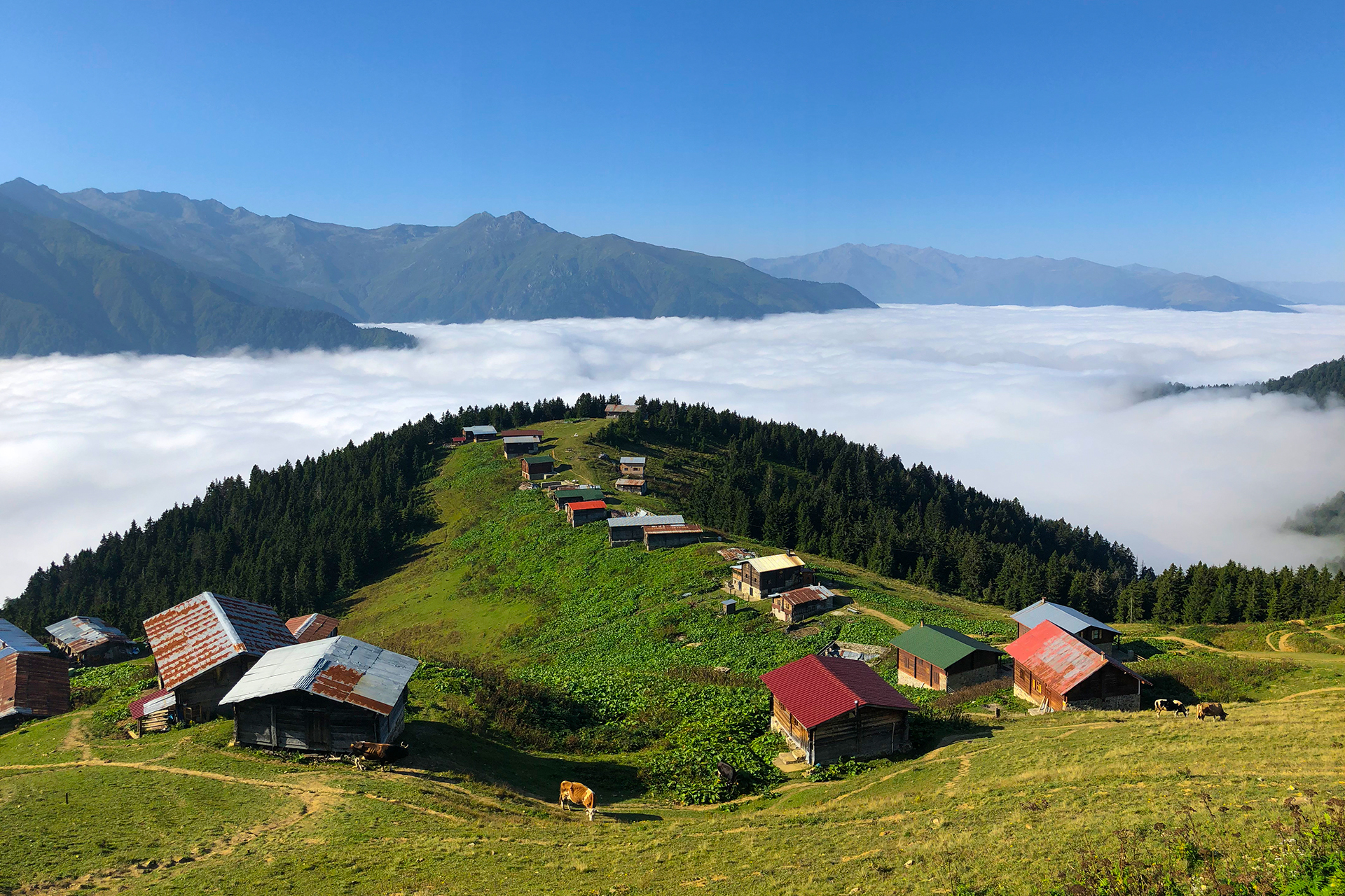 Fırtına Vadisinden Uzungöle Uzanan Denizli Çıkışlı Karadeniz Turu