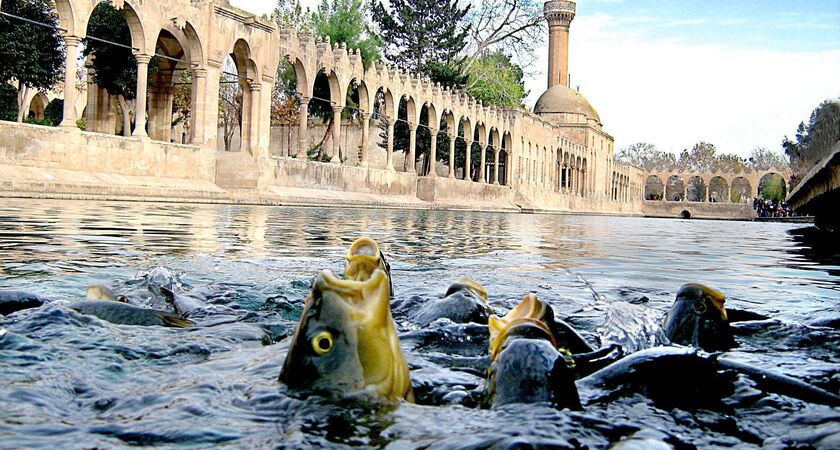 Aydın Çıkışlı 