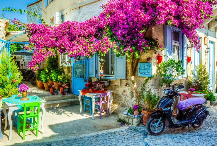 Kuşadası Çıkışlı Ege Esintisi Turu