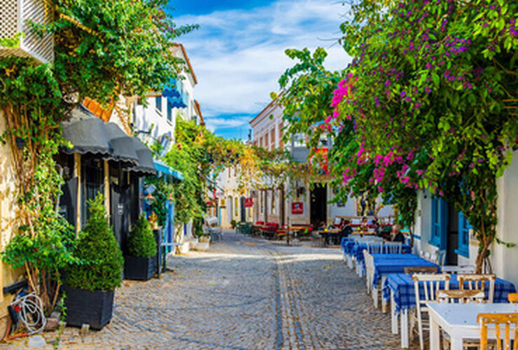 Kuşadası Çıkışlı Ege Esintisi Turu
